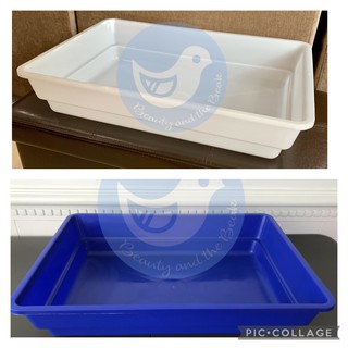 High Quality Pigeon Bath Tub Plastic 60 * 42 * 12cm White and Blue ON HAND and Ready to Ship