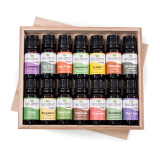 Plant Therapy Essential Oils 10ml 1 Bottle (Sealed)
