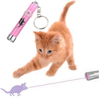 Laser Pointer light Pen Toys Portable Funny Pet Cat Toys