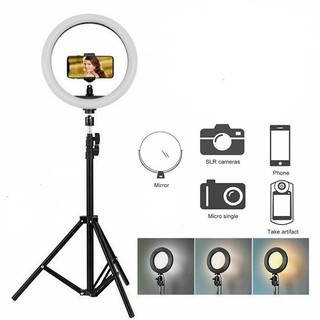 Selfie Ringlight LED Light Studio Photography 10inch / 26cm | 13inch / 33cm Lamp with 2.1M Stand
