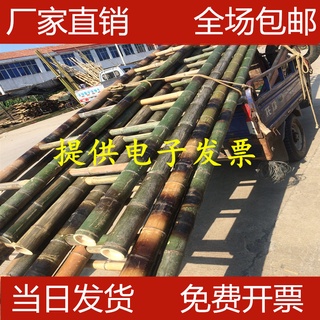 Mao Bamboo Ladder Household Trestle Ladder Straight Ladder2M3M4M5M6Rice Kindergarten Bamboo Ladder P