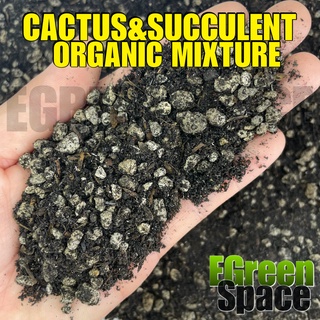 Cactus & Succulent Mix (10 kilo Bag) Complete Soil-less Potting | Ready to Use | EGREEN