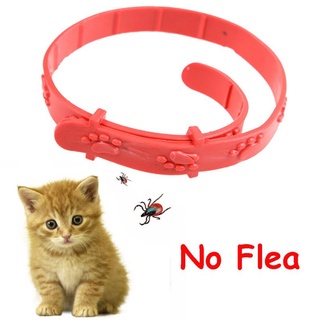 Cat Kitten Adjustable Pet Collar Neck Strap Remedy Anti Flea Mite Acari Tick