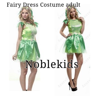 Fairy Dress Costume Adult ( Tinkerbell)