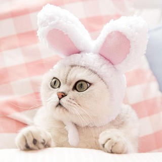 №B♥O HOT Cute Pet Cat Rabbit Ears Hat for Cat Cosplay Clothes Fancy Pet little Bunny Cap Halloween E