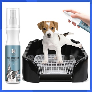 【Ready Stock】□✠◆Dog inducers training potty pad/dog combination package/L/XL