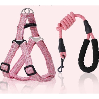 Dog Traction Rope Dog Chain Collar