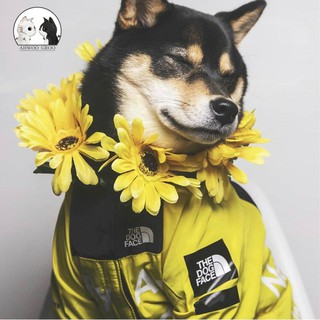 Pet Dog Raincoat Jacket Clothes Windproof Cat Dog Jacket Fashion Waterproof Reflective Pet Clothing