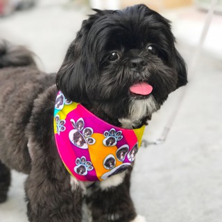 Customized Pet Bandana for Dogs and Cats