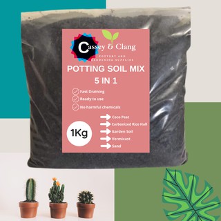 Potting Soil Mix 1 KG Ready to use for Succulents and Cactus