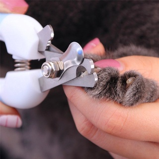 accessoryPet supplies✓◆Professional Pet Care Tools Dog Cat Nail Clippers Stainless Steel and Cleanin