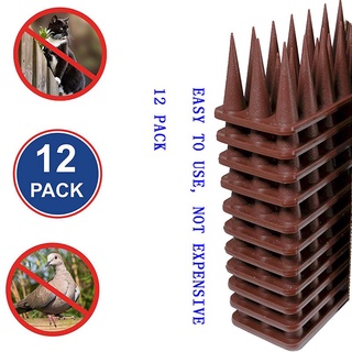 2020 new bird stab proof 12 PACK Cheng-store Plastic Bird Spike,Wild Cat,Fence Spikes, Squirrel Ya