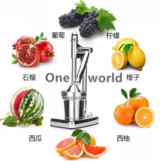One world stainless steel juicer (3)