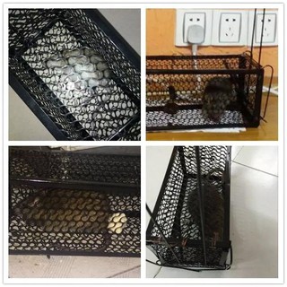 Small Rat Cage Mice Rodent Animal Control Catch Bait Hamster Mouse Trap