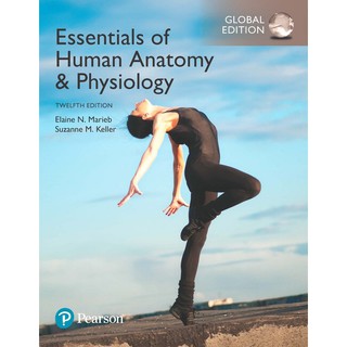 Essentials of Human Anatomy and Physiology (Marieb) 12th - Global Edition