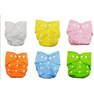 1 cloth diaper with 1 insert