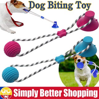 Pet Molar Bite Dog Toys Rubber Chew Ball Elasticity Puppy Pet Suction Cup Toy