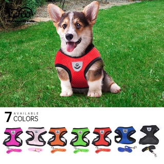 Cute Dog Harness Puppy Fashion Mesh Vest + Leash Lead Set Collar Strap