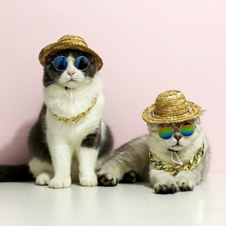 Pet cat glasses fashion cute glasses cat sunglasses cat and dog accessories pet supplies (2)