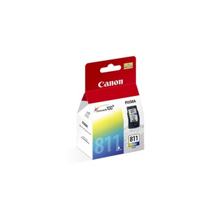 Canon PG-810 / CL-811 ink cartridge (3)