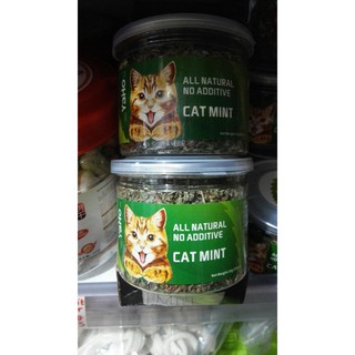 CATNIP IN JAR (cat mint) (1)