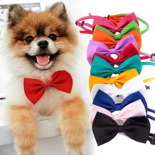 Pet Cat Necklace Adjustable Strap for Collar Dogs AccessoriesPet dog Bow Tie dog Pet supplies