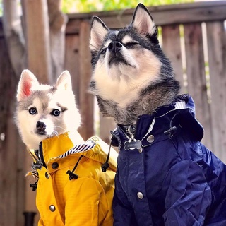 S-5xl Pet Dog Clothes Reflective Waterproof Dogs Raincoats For Small Medium Large Dogs Coats Outfit