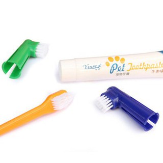 （Spot Goods）Pet Cat Dog Dental Care 4 In 1 Oral Cleaning Toothpaste/toothbrush Set kRvQ (4)