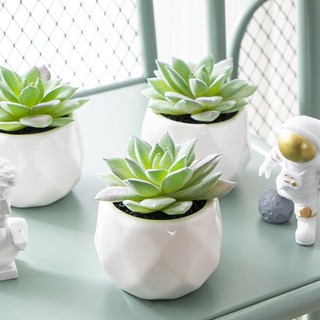 Succulent Potted Plants Artificial Green Plants Living Room #2 Ins Creative Nordic Indoor Desktop Home Decoration