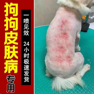 ❀⋮ #Love Pet#No Fear of Licking Dog Skin Disease Medicine Teddy/Golden Retriever Mite Killing Spray