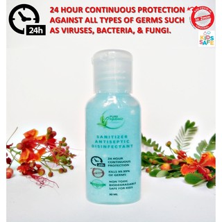 Pure Organic Blueberry Hand Sanitizer Antiseptic Disinfectant 24 Protection Against Germs Virus