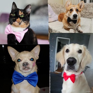 ✌Pet Collar Adjustable Bowknot Tie Cat Puppy Dog Collars