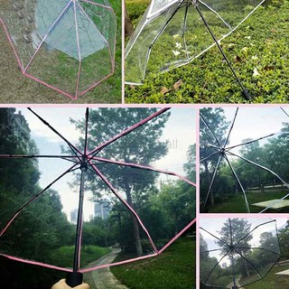 Transparent Automatic Umbrella Compact Folding Windproof Style Big Clear Umbrella (5)