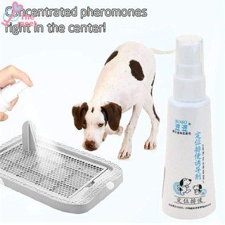 60ML Effective Pet Toilet Training Spray Dog Props Inducer