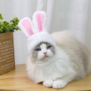 Cat Clothes Headgear Costume Bunny Rabbit Ears Hat Pet Cat Cosplay Cat Costumes Small Dogs Kitten Costume (3)