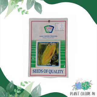 KSHC Sweet Corn by Plant Culture PH