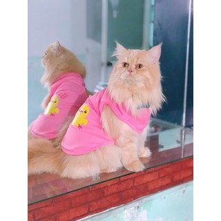 Ready Stock Dog Shirt Cat Vest with Cute Cartoon Print Breathable Chihuahua Clothes Pet Summer Clothes (4)