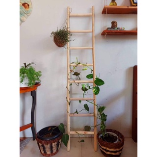 Ladder Trellis/ Decorative Ladder/ Plant Support