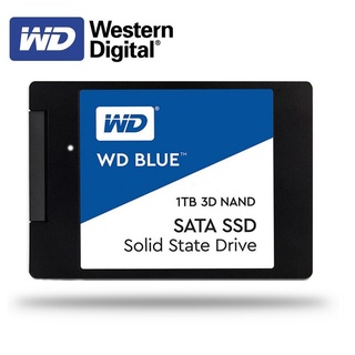 ´･ω･ஐ✇Western Digital WD SSD BLUE 250GB 500GB 1TB Desktop 2.5 inch SATA III HDD Hard Disk HD SSD PC