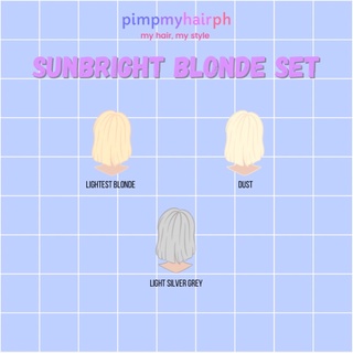 Sunbright Blonde Hair Color Set (w/ bleach) (1)