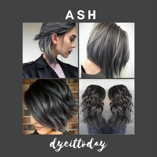 Ash Hair Dye Set (Bleach and Color)