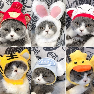 Pet Cat Rabbit Headband Outfit Birthday Hat Cat Photo
