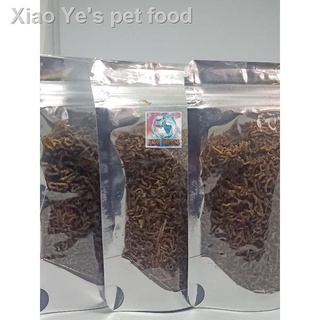 ✼Freeze Dried Bloodworm 10 GRAMS /Natural Fish Feed