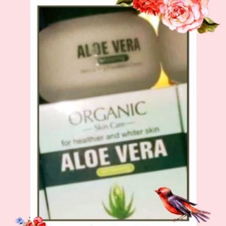 Caimei_organic_aloe_vera_sea_mineral_collagen_buy_1_take_1