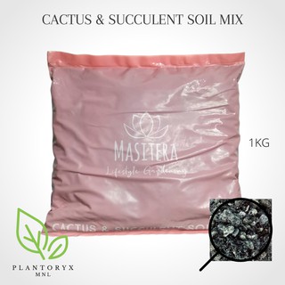 MASITERA (CNS) Cactus and Succulent Soil-less Mix - Plantoryx MNL