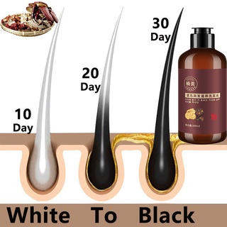Black Hair Shampoo Herbal Natural Polygonum Multiflorum White Hair Blackening Botanical 300mL (6)