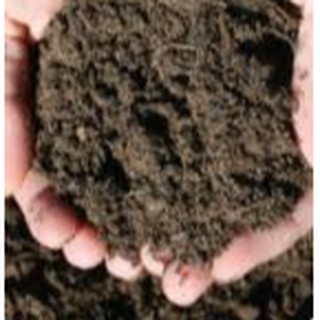 Loam Soil, 100% Pure loam soil (1)