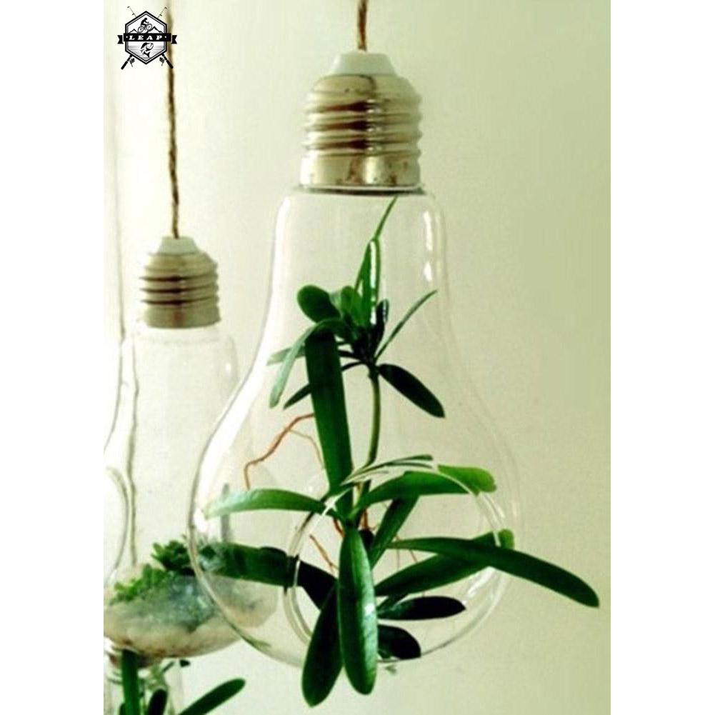 Light Bulb Shape Glass Hanging Hydroponic Plant Container We