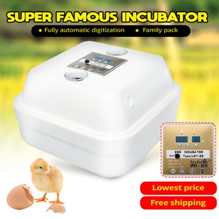 Warmhouse 36 Egg Automatic Digital Incubator Chicken Poultry Hatcher Temperature