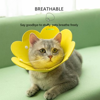 Pet E-Collar Recovery Cat Cone,Comfortable E-Collar Soft Sponge Cones for Cat Dog Cute and Convenient to Diet and Play